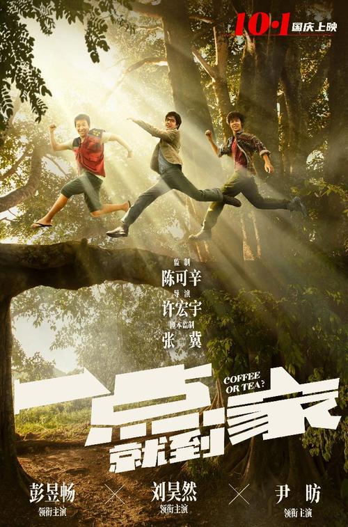 一比一仿兴业银行流水电子版PDF